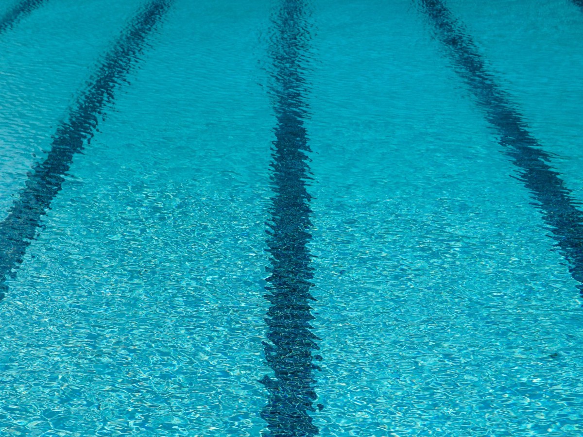 Roger Federer vence Tiger Woods na&nbsp;natação