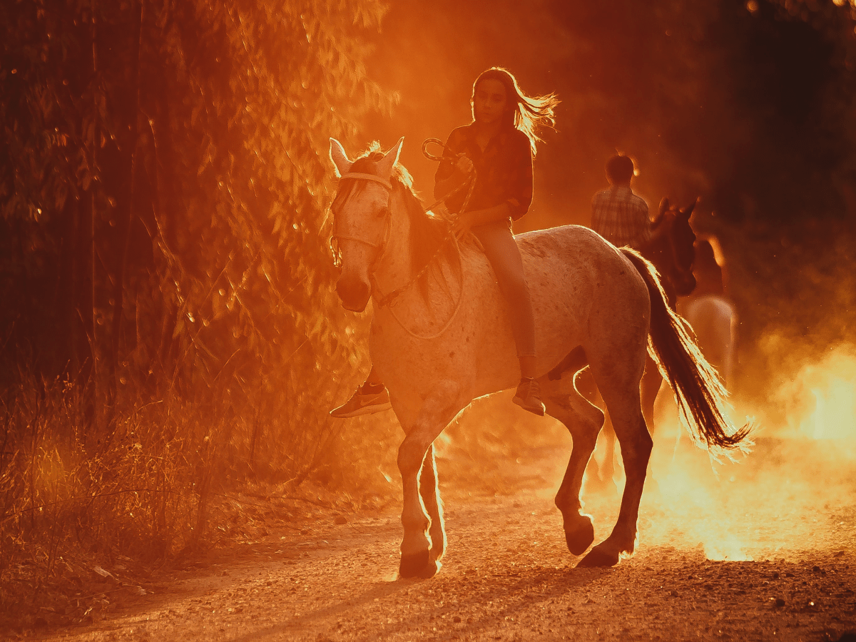 Domando a sua&nbsp;carreira